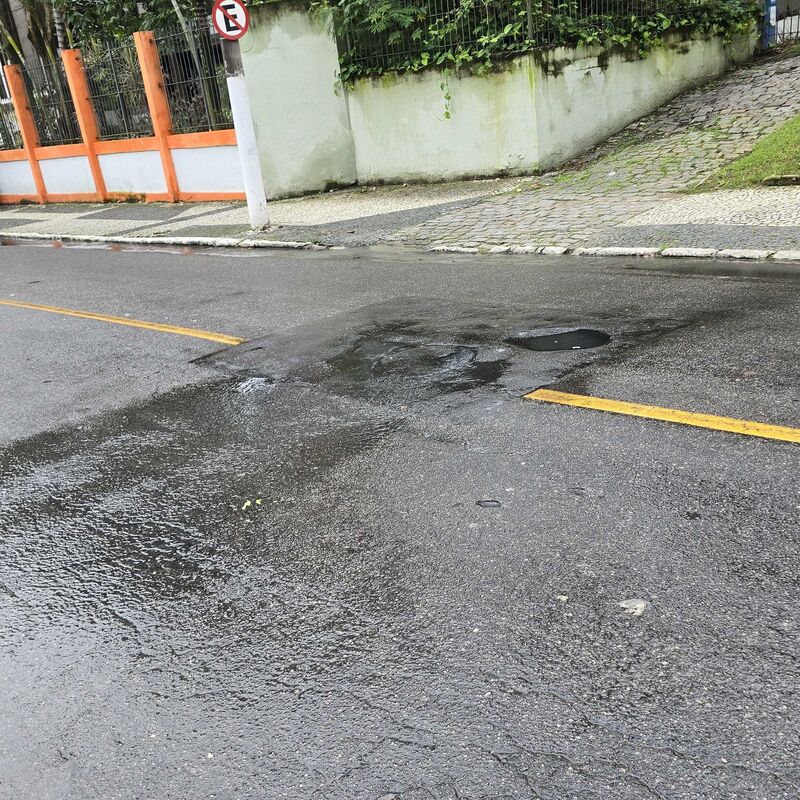 Imagem da publicação