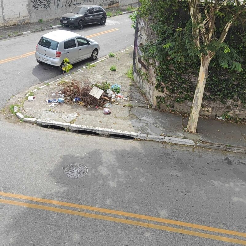 Imagem da publicação