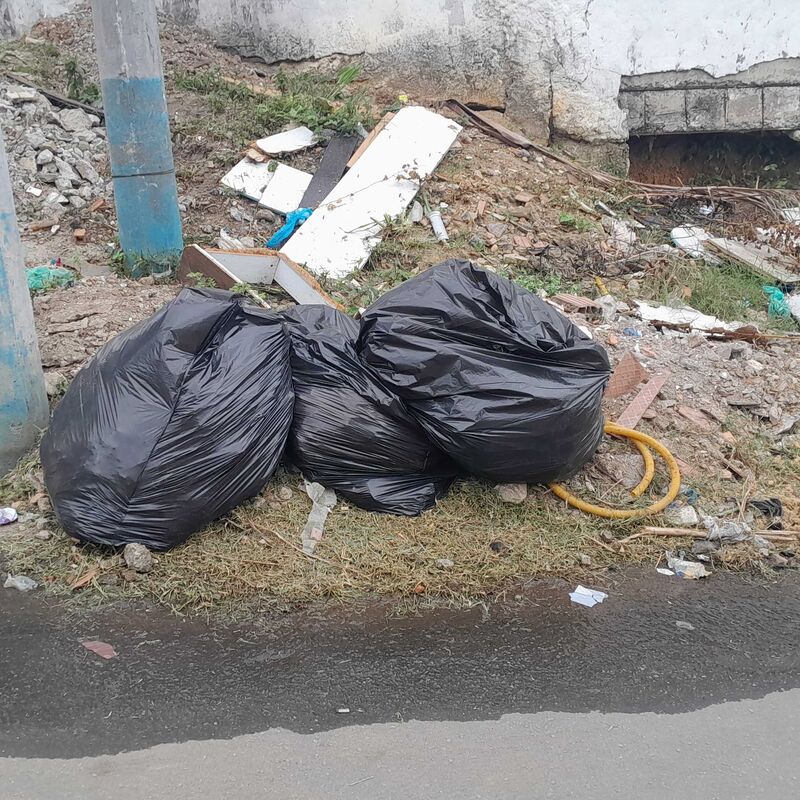 Imagem da publicação