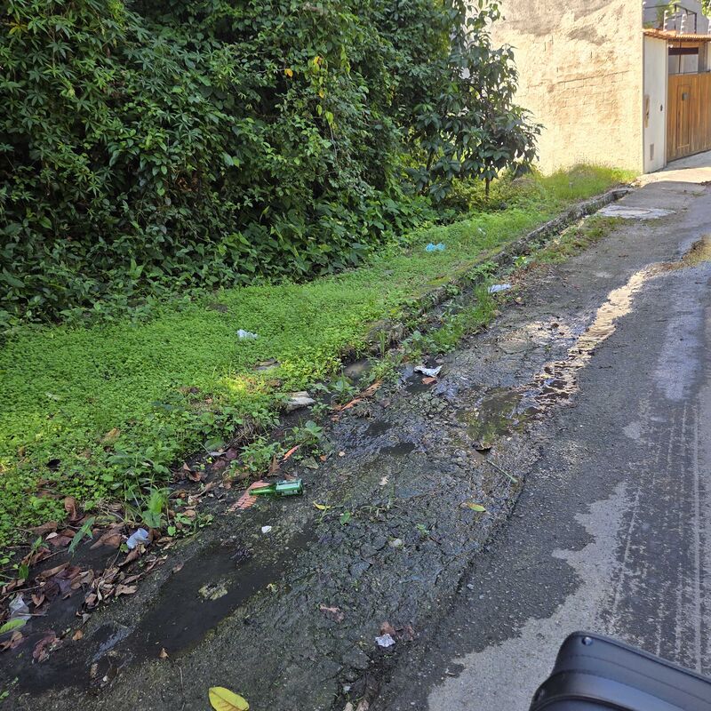 Imagem da publicação