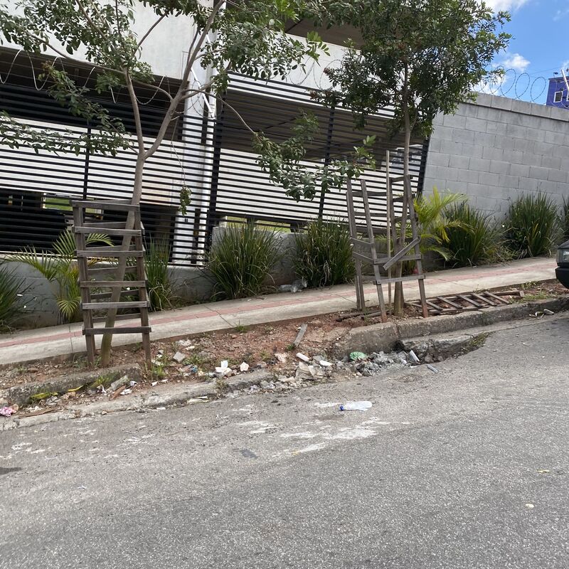Imagem da publicação