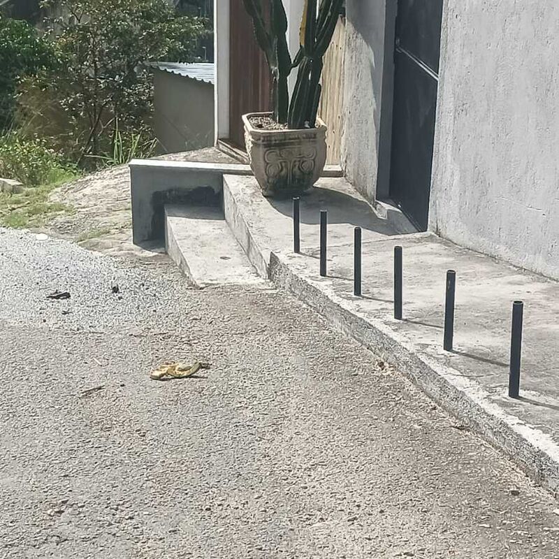 Imagem da publicação