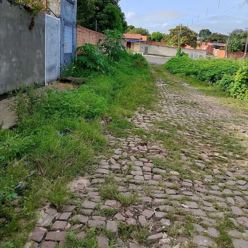 Imagem da publicação