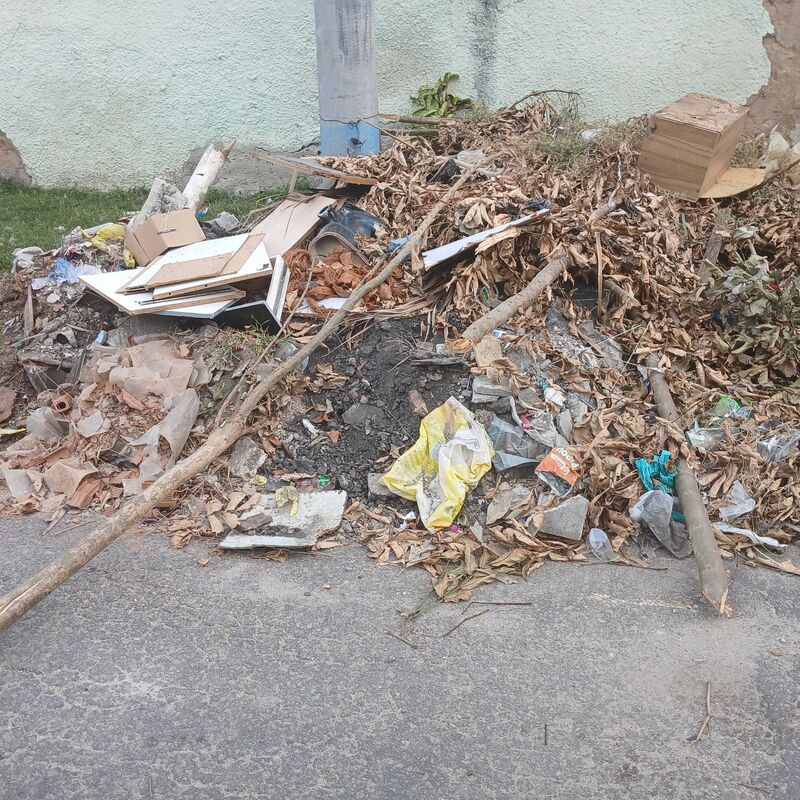 Imagem da publicação