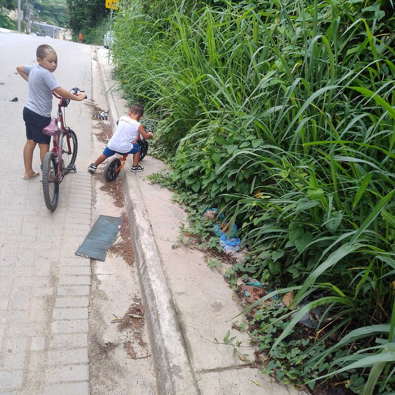 Imagem da publicação