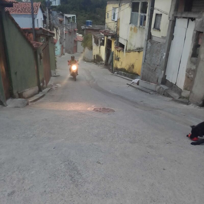 Imagem da publicação