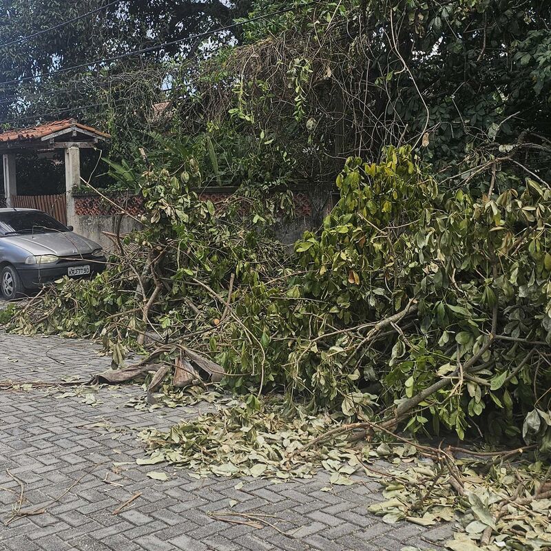 Imagem da publicação