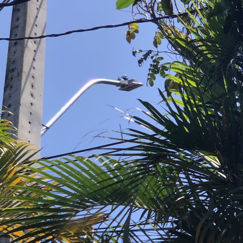 Imagem da publicação