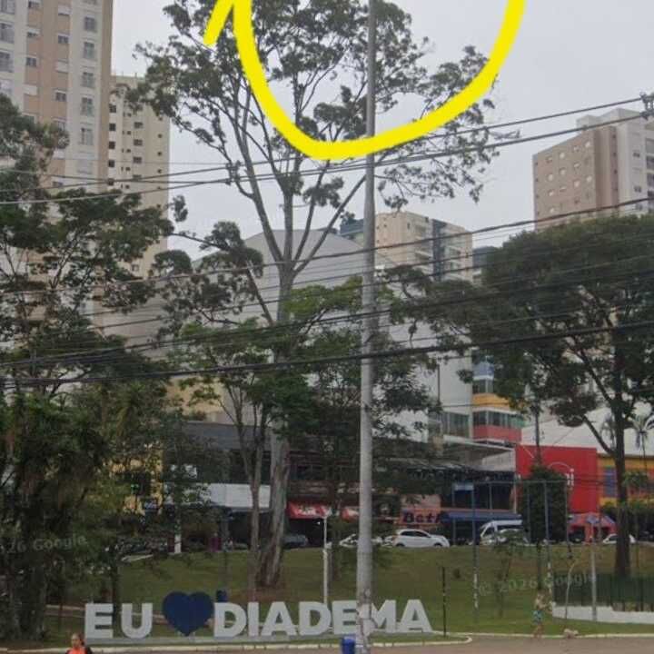 Imagem da publicação