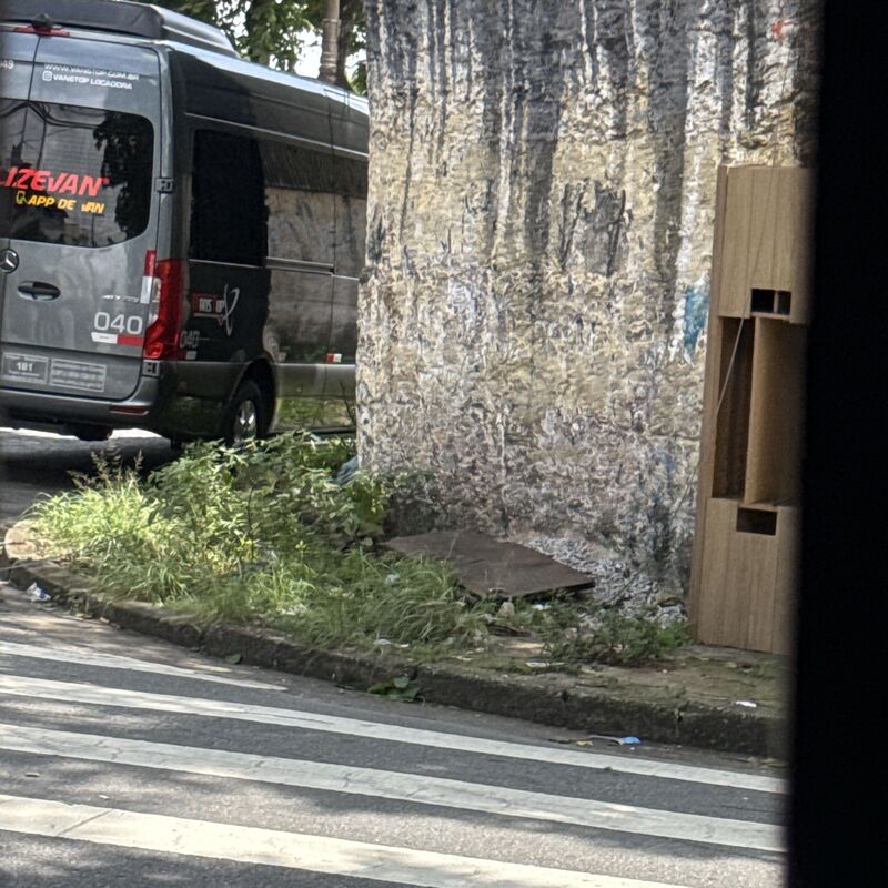 Imagem da publicação