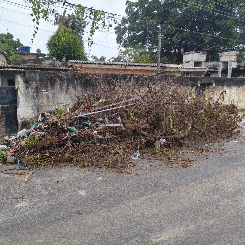 Imagem da publicação