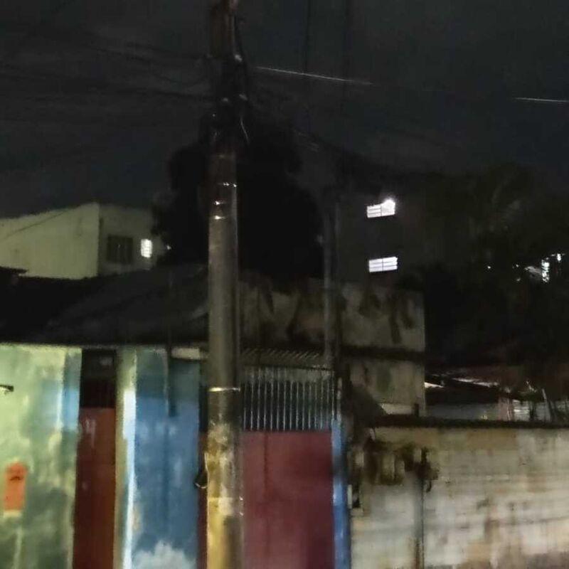 Imagem da publicação