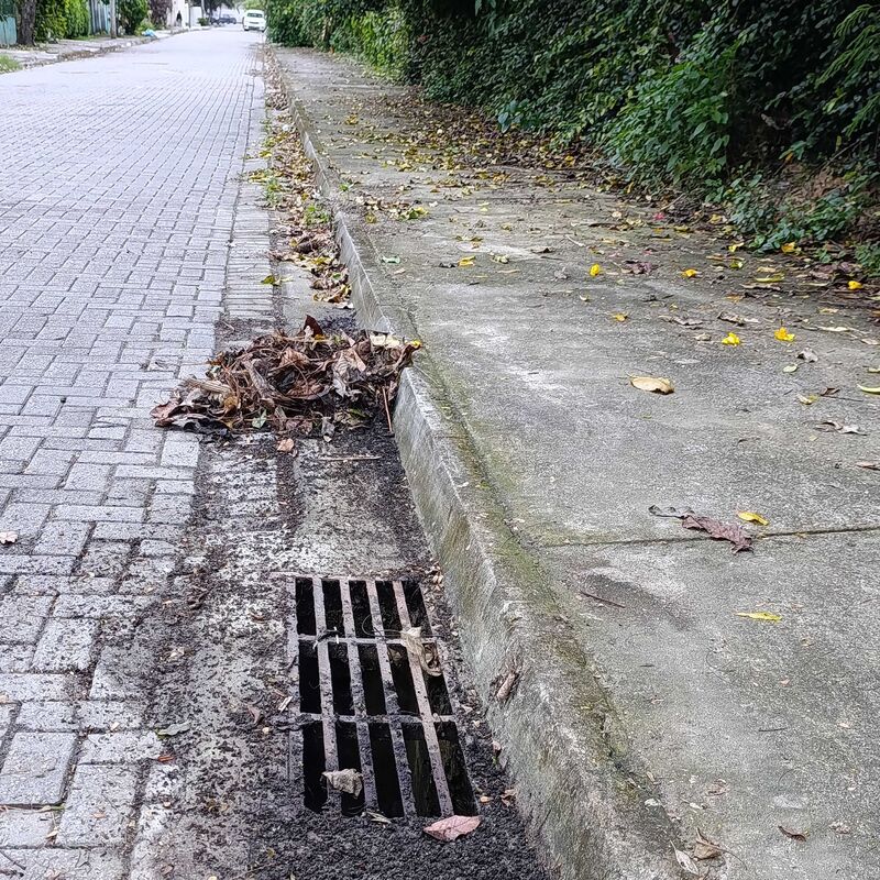 Imagem da publicação