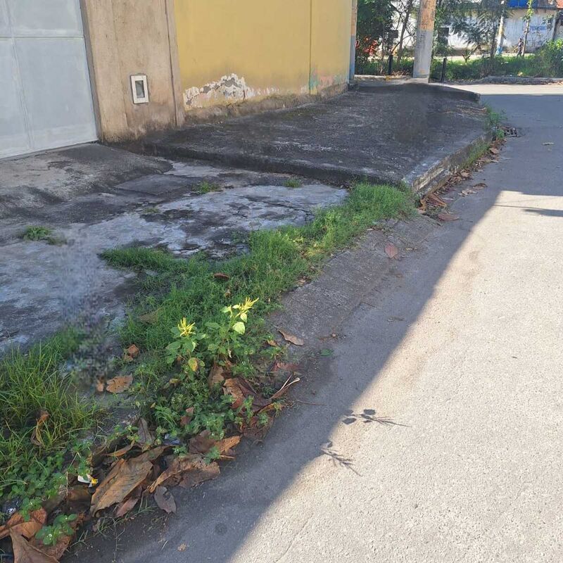 Imagem da publicação