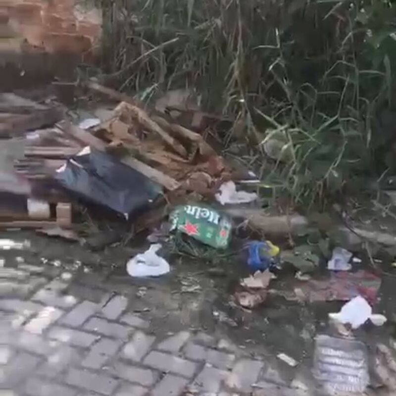 Imagem da publicação
