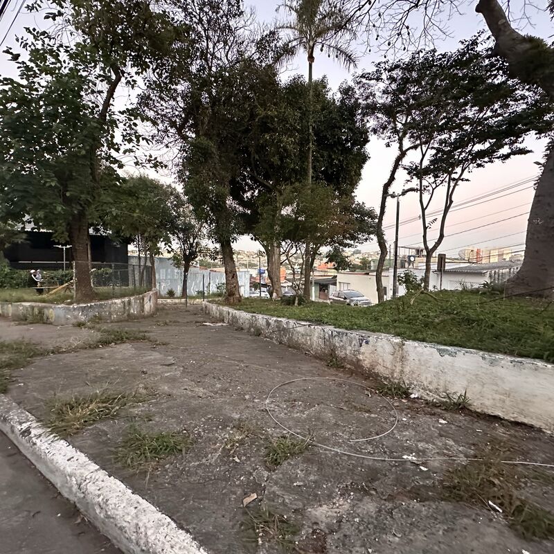 Imagem da publicação