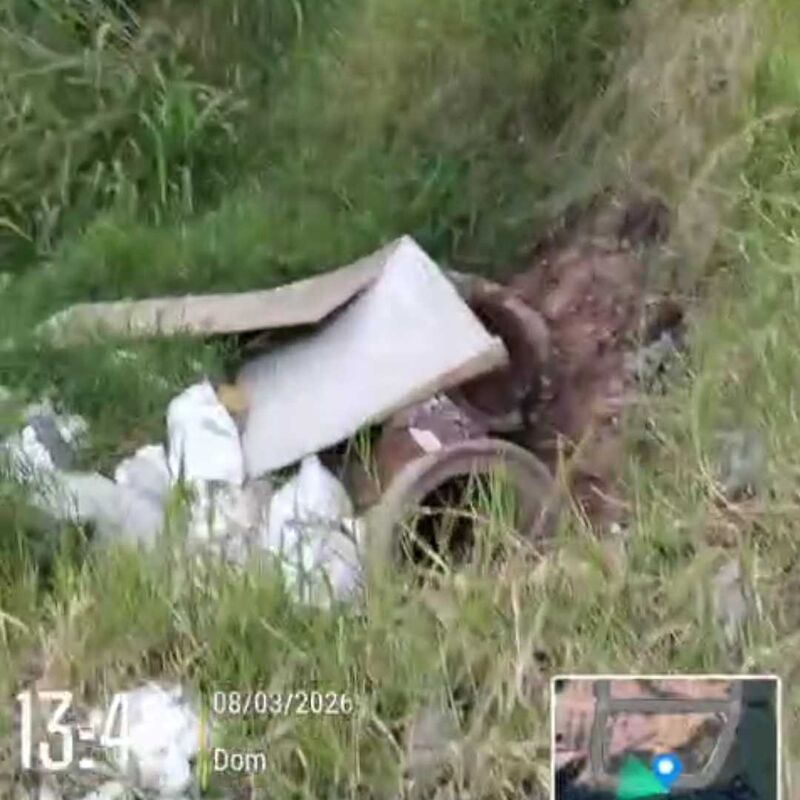 Imagem da publicação