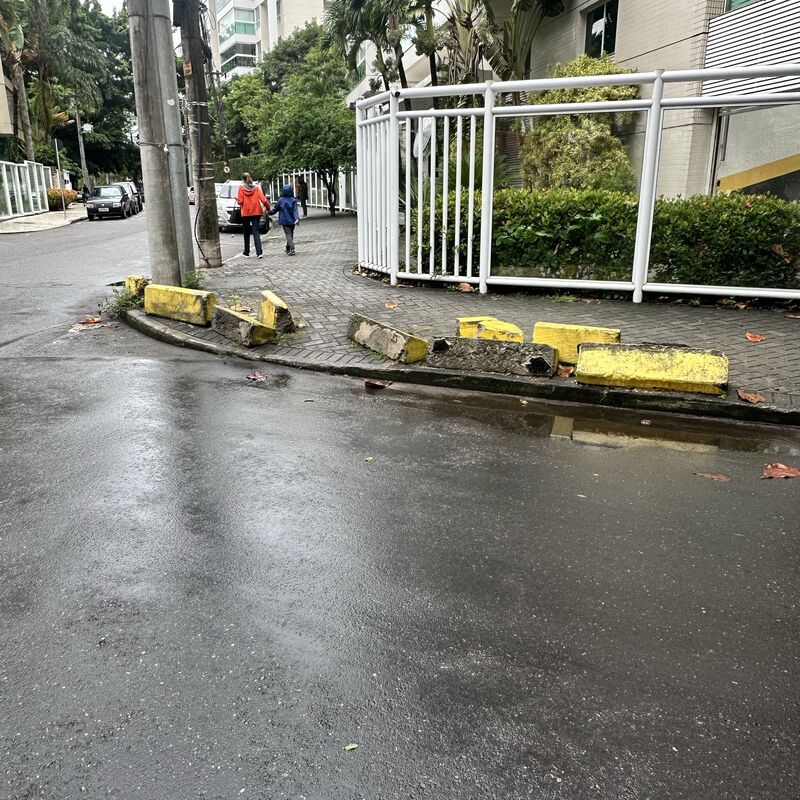 Imagem da publicação