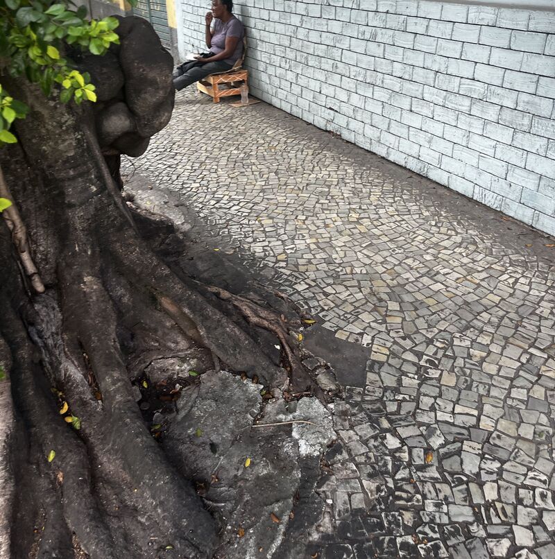 Imagem da publicação