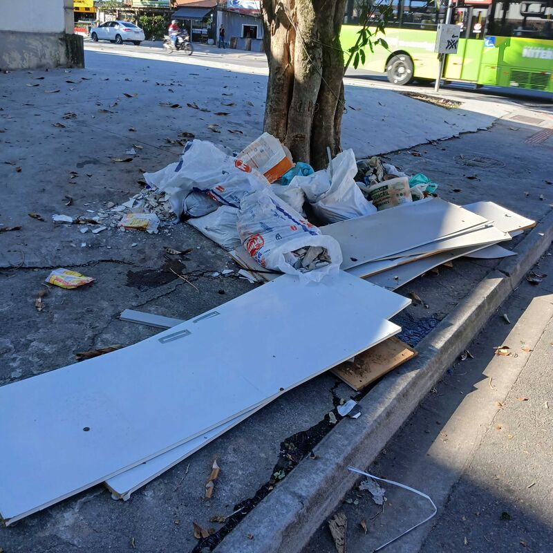 Imagem da publicação