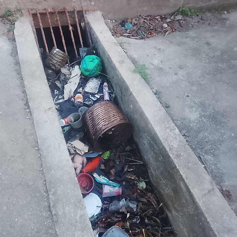 Imagem da publicação