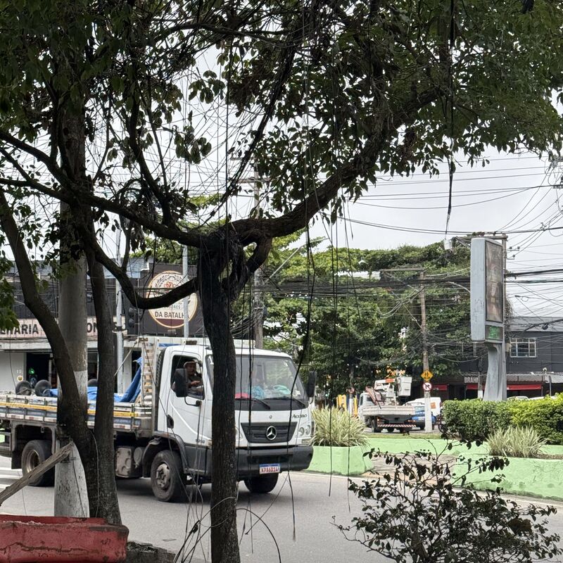 Imagem da publicação