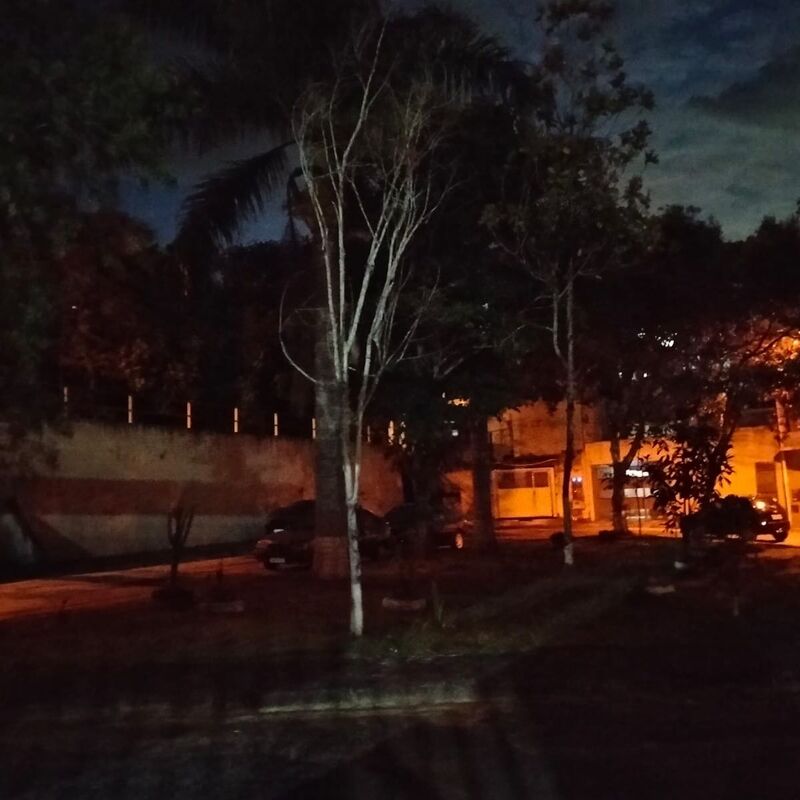 Imagem da publicação