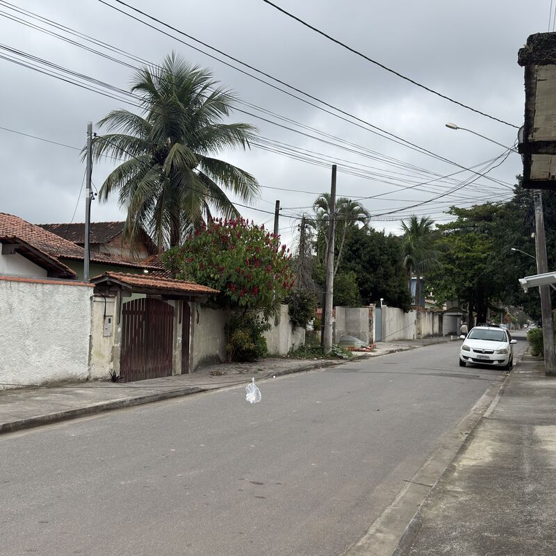 Imagem da publicação