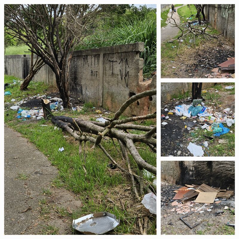 Imagem da publicação