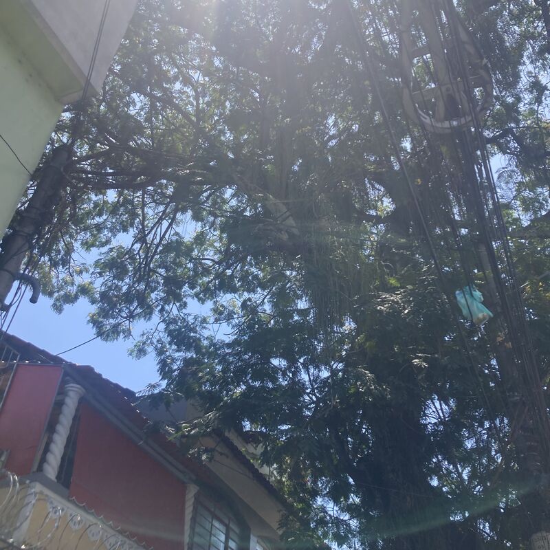 Imagem da publicação