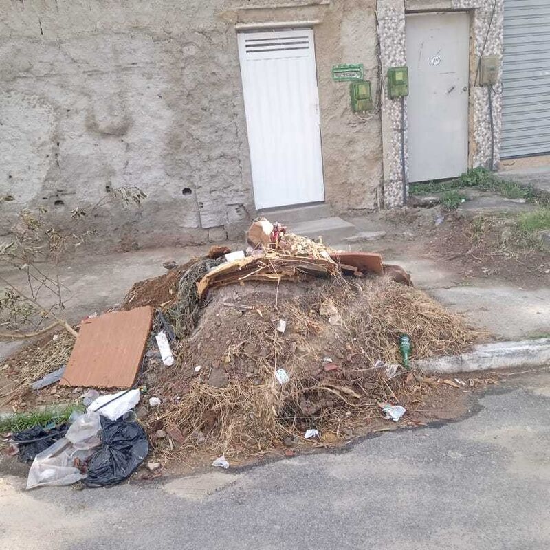 Imagem da publicação