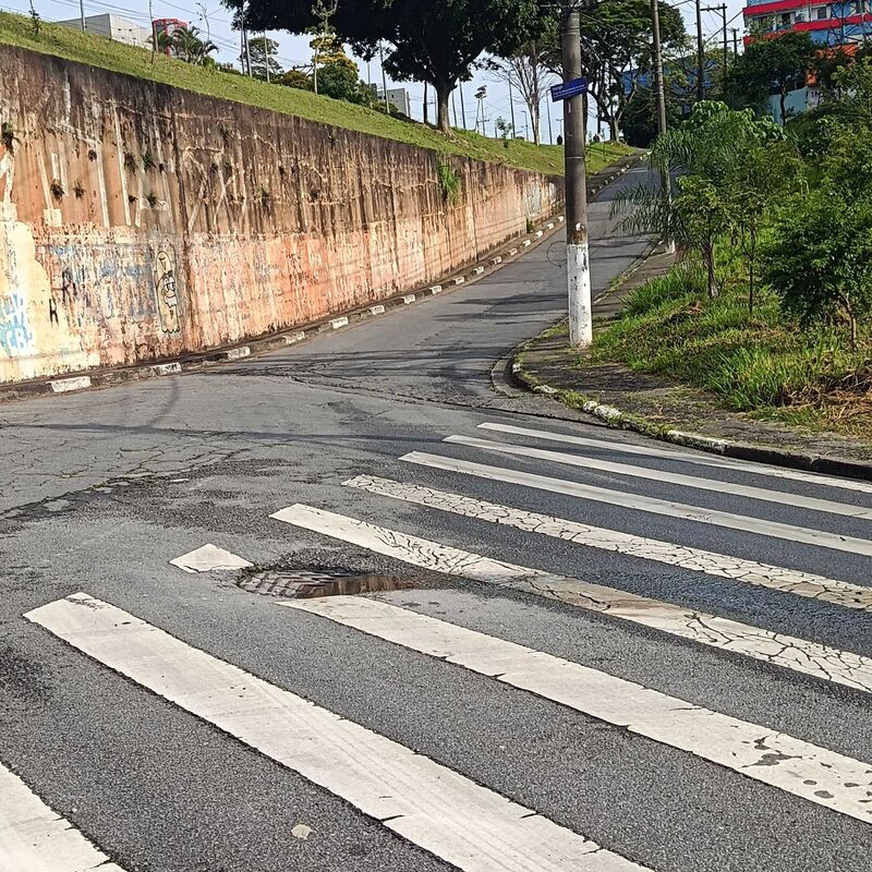 Imagem da publicação