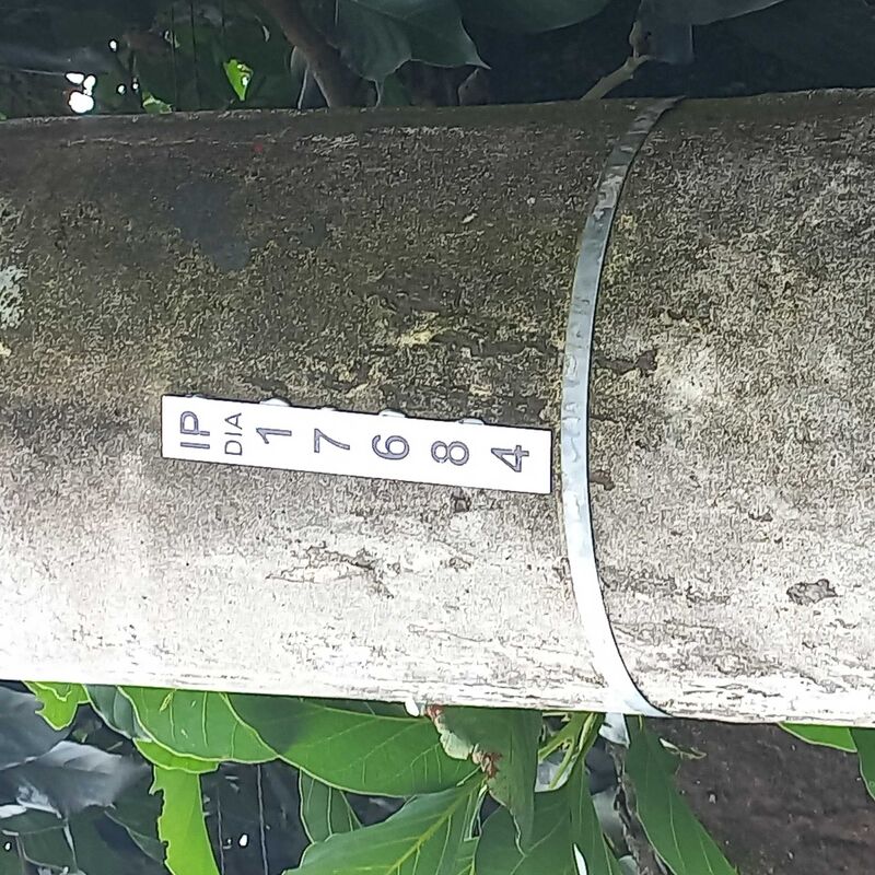 Imagem da publicação