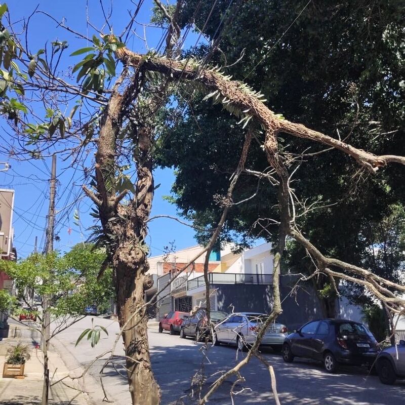 Imagem da publicação