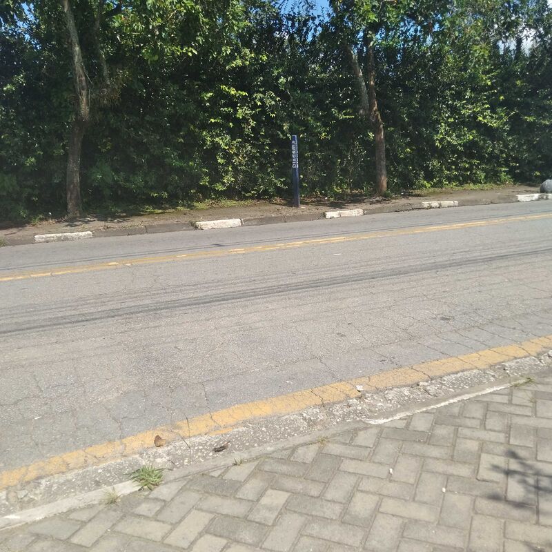 Imagem da publicação