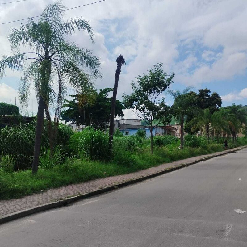 Imagem da publicação