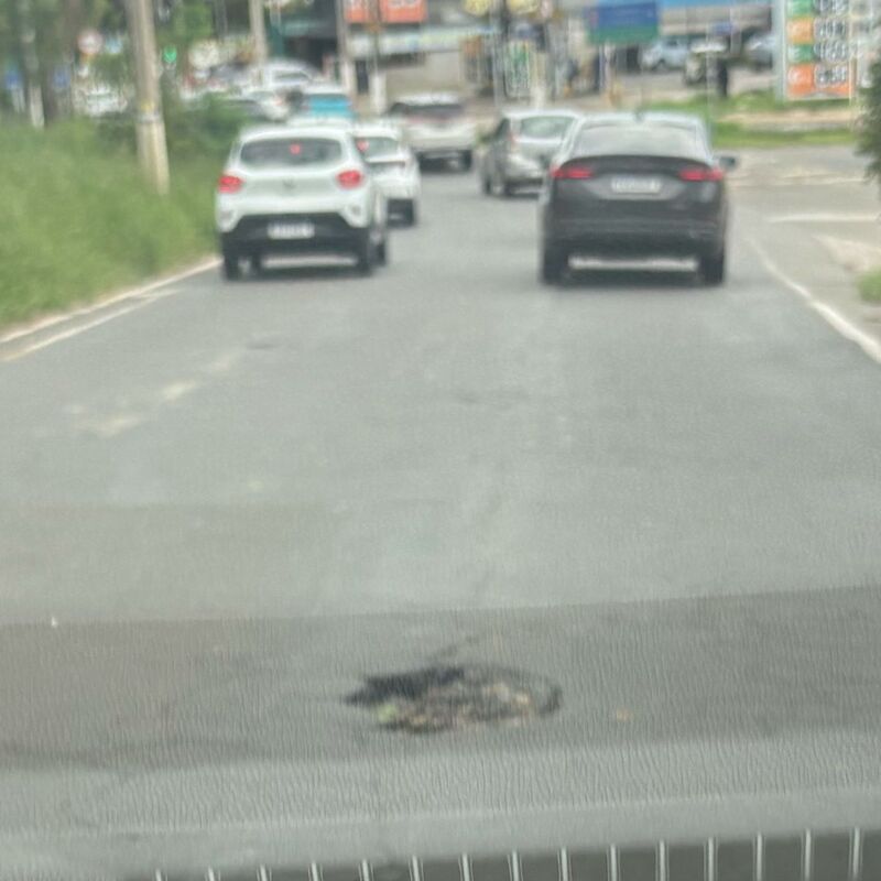 Imagem da publicação