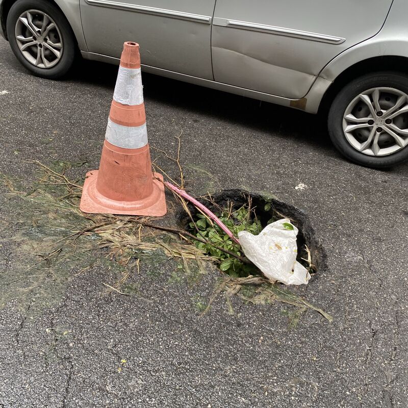 Imagem da publicação