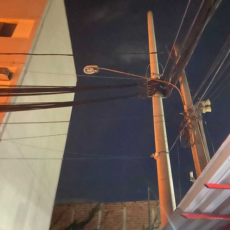 Imagem da publicação