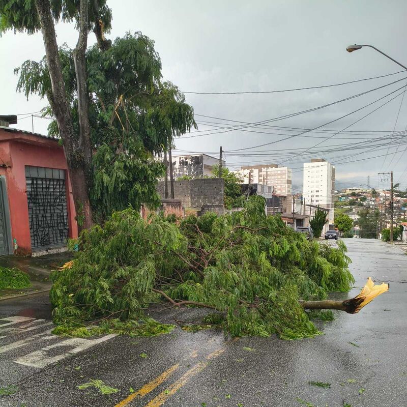 Imagem da publicação