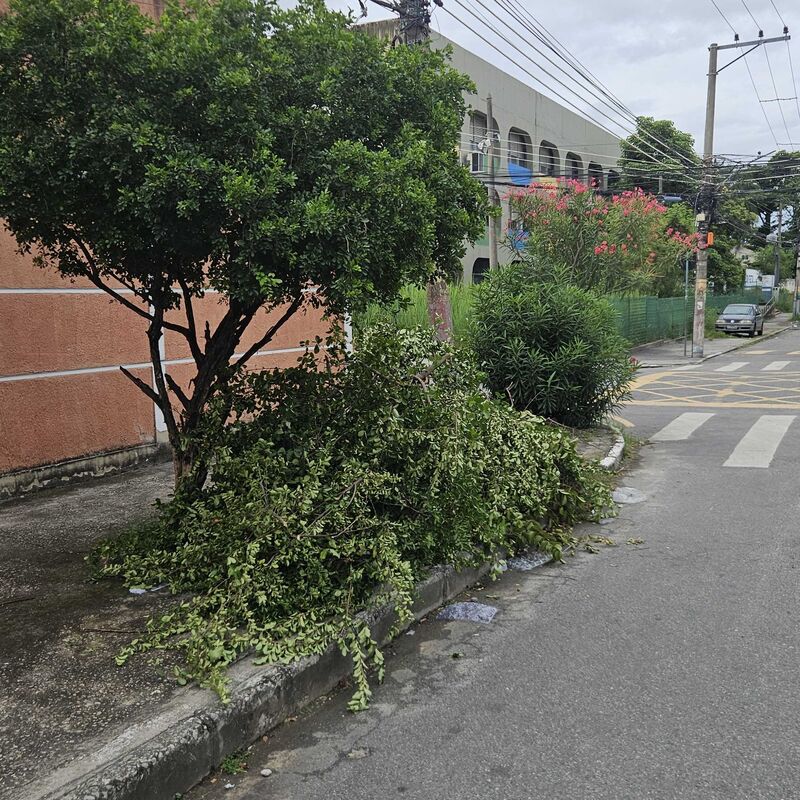 Imagem da publicação