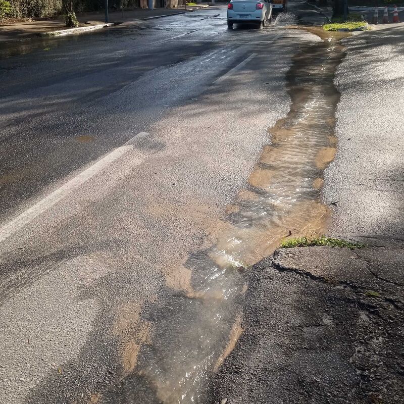 Imagem da publicação