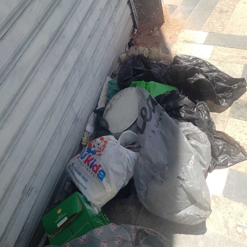 Imagem da publicação