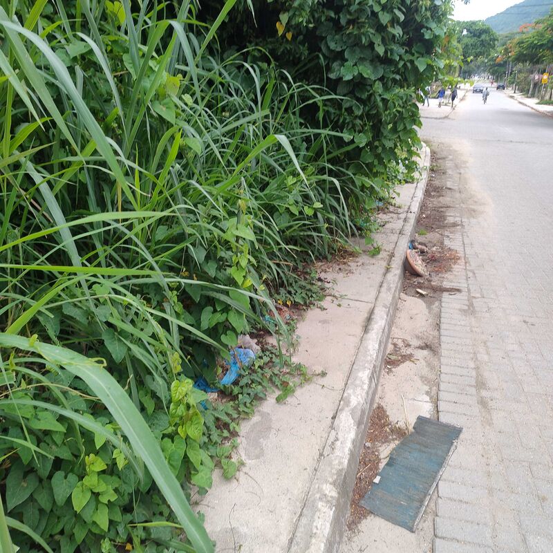 Imagem da publicação