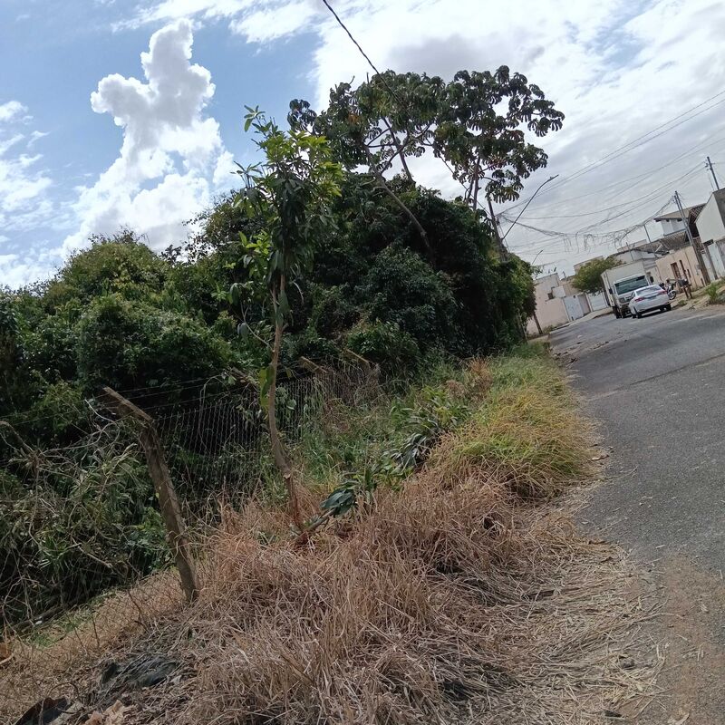 Imagem da publicação