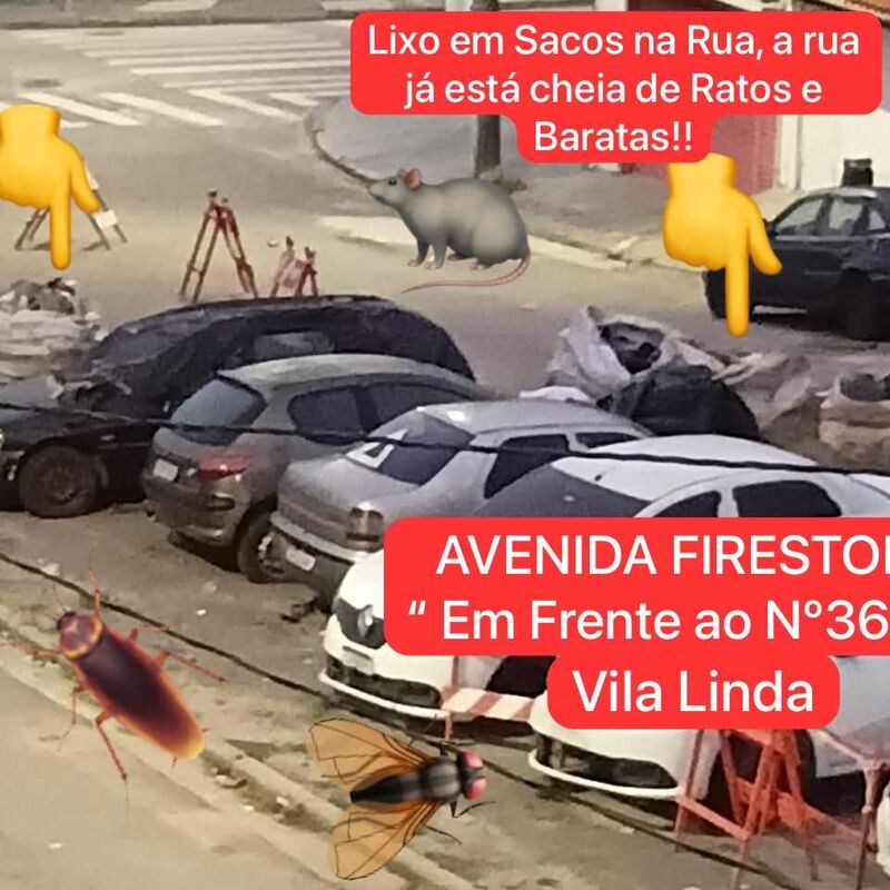 Imagem da publicação