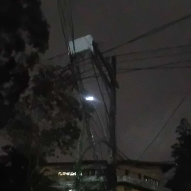 Imagem da publicação