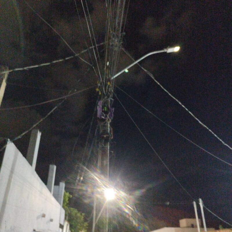 Imagem da publicação