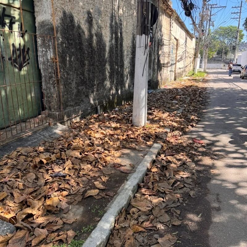Imagem da publicação