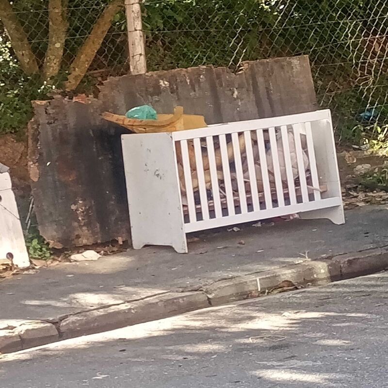 Imagem da publicação